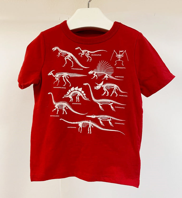 Toddler Shirt Item #260